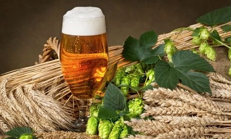 精釀啤酒中，如何選擇恰當(dāng)?shù)慕湻椒ǎ?> </a>
    </dt> 
    <dd> 
     <h4><a href=
